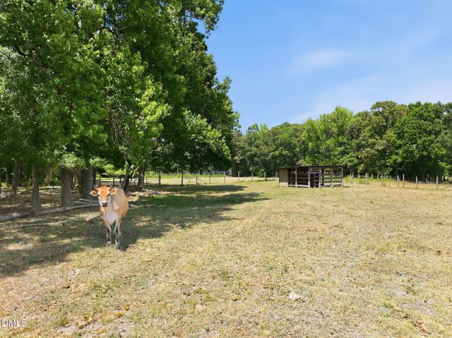 908 Chambers Road, Rougemont, NC 27572