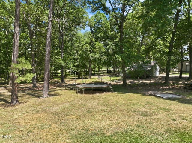 908 Chambers Road, Rougemont, NC 27572