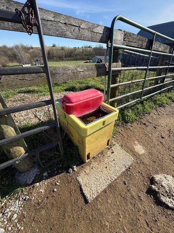 973 Levy Road, Paris, KY 40361