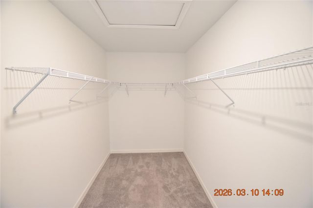 6252 SHINER STREET, Land O Lakes, FL 34638