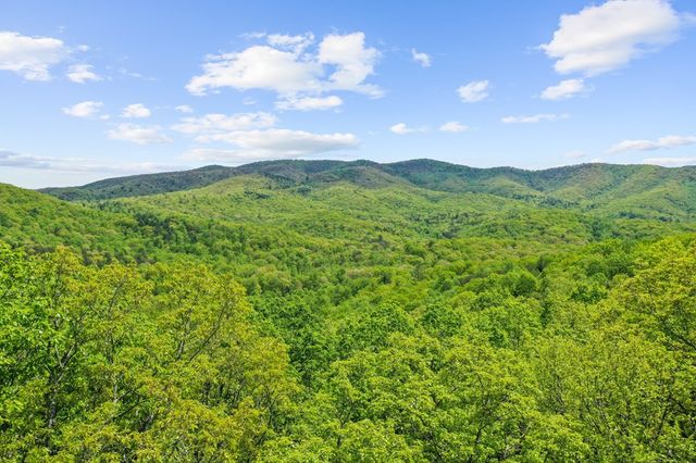 LT 19 Forest Ridge Drive, Blue Ridge, GA 30540
