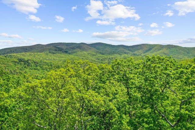 LT 19 Forest Ridge Drive, Blue Ridge, GA 30540