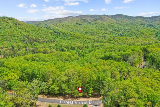 LT 19 Forest Ridge Drive, Blue Ridge, GA 30540
