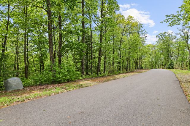 LT 19 Forest Ridge Drive, Blue Ridge, GA 30540
