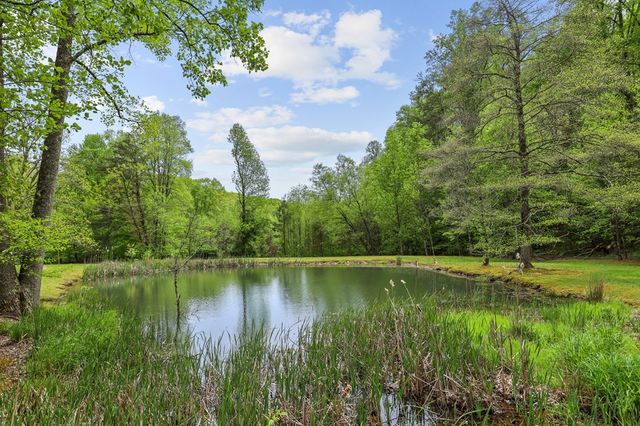 LT 19 Forest Ridge Drive, Blue Ridge, GA 30540