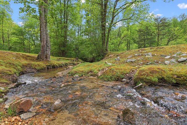 LT 19 Forest Ridge Drive, Blue Ridge, GA 30540