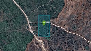 0 NW 314th Street, Okeechobee, FL 34972