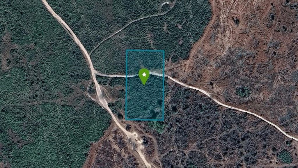 0 NW 314th Street, Okeechobee, FL 34972