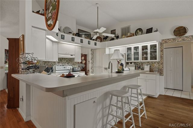4381 N Capistrano Loop, Beverly Hills, FL 34465