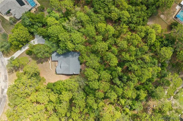 4381 N Capistrano Loop, Beverly Hills, FL 34465