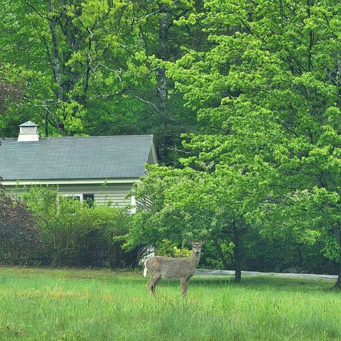13 Federal Corner Road, Tuftonboro, NH 03816