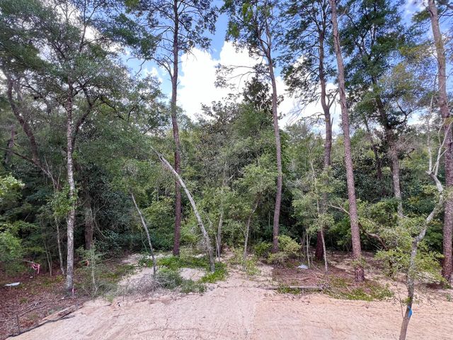 237 Foxglove Run, Niceville, FL 32578