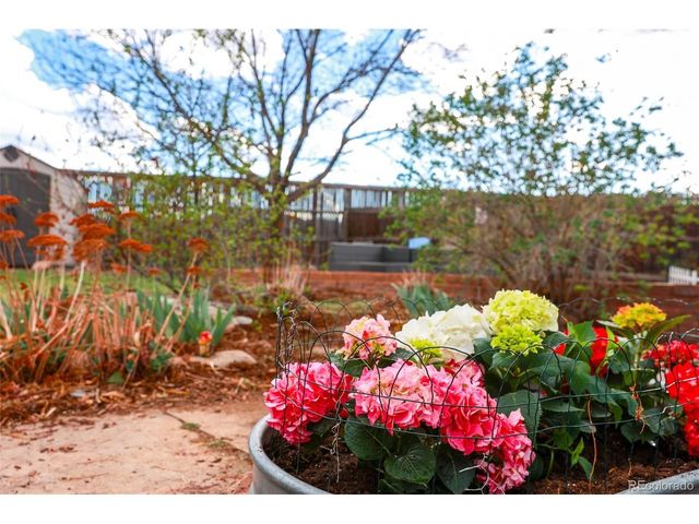 8853 S Dudley St, Littleton, CO 80128