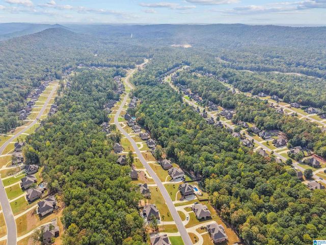 1013 GREY OAKS VALLEY, Pelham, AL 35124