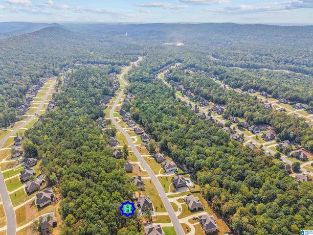 1013 GREY OAKS VALLEY, Pelham, AL 35124