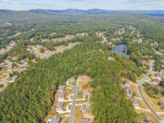 1013 GREY OAKS VALLEY, Pelham, AL 35124