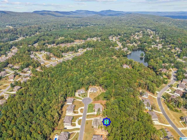 1013 GREY OAKS VALLEY, Pelham, AL 35124