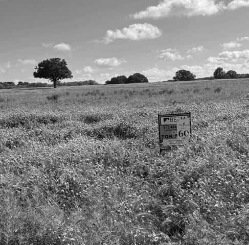 Lot 60 Buffalo Lane, Chico, TX 76431