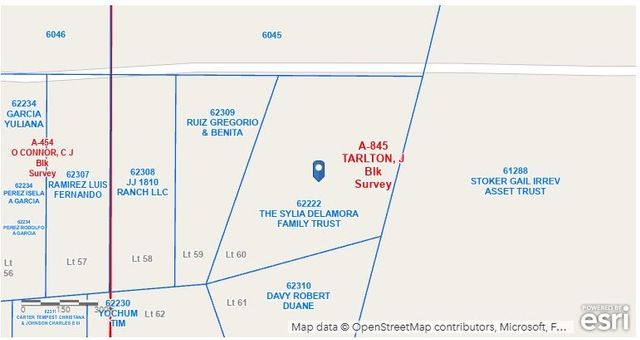 Lot 60 Buffalo Lane, Chico, TX 76431