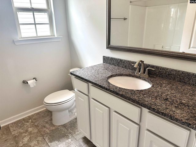412 Maria Posada, Chapin, SC 29036