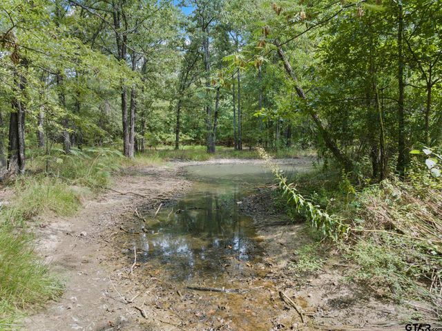 5536 County Road 1905, Talco, TX 75487