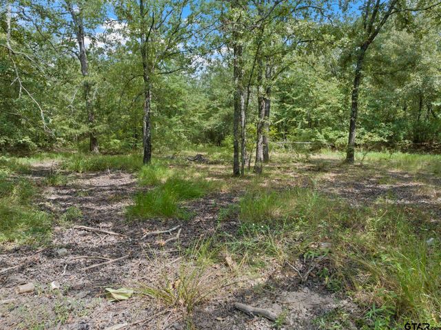 5536 County Road 1905, Talco, TX 75487