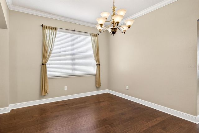 3204 MAPLERIDGE DRIVE, Lutz, FL 33558