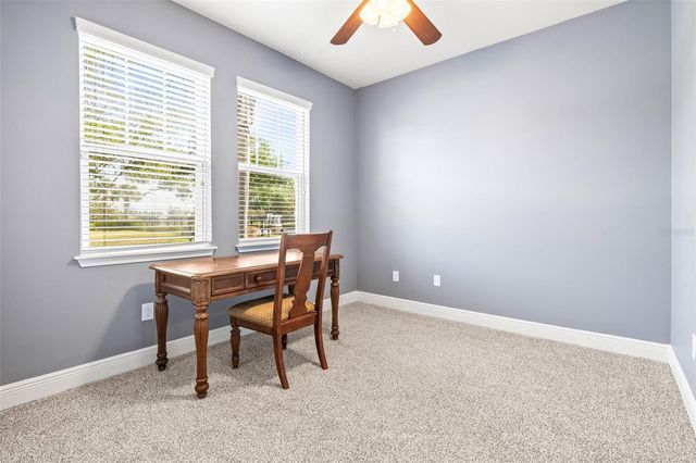 3204 MAPLERIDGE DRIVE, Lutz, FL 33558