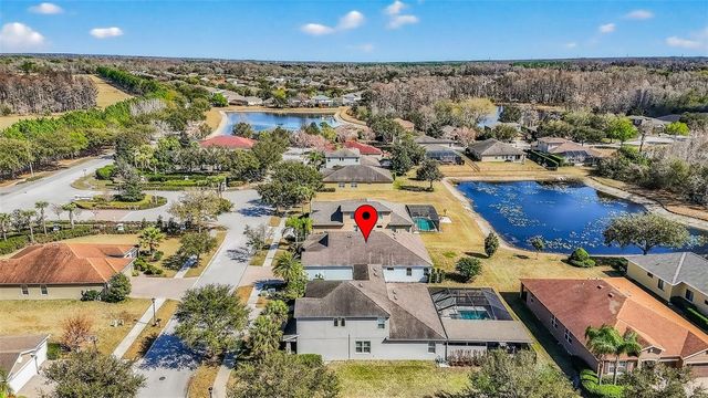 3204 MAPLERIDGE DRIVE, Lutz, FL 33558