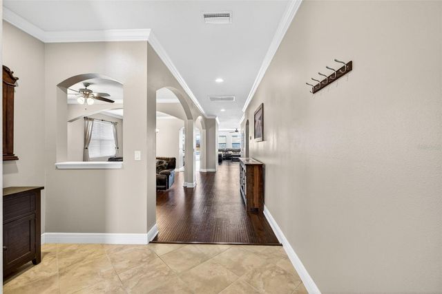 3204 MAPLERIDGE DRIVE, Lutz, FL 33558