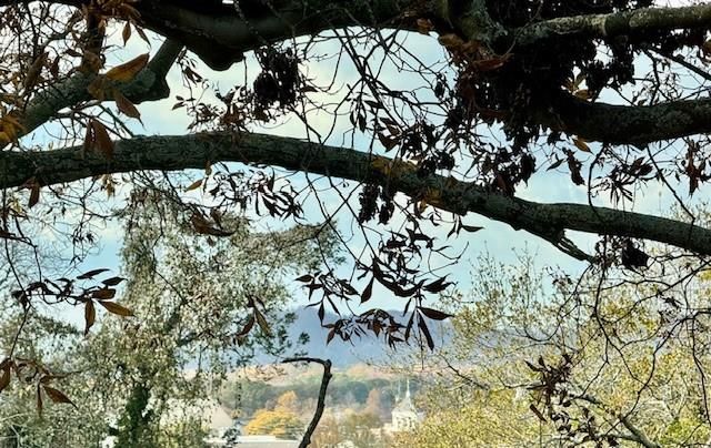 351 WASHINGTON Avenue NE 309, Marietta, GA 30060