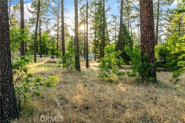 59485 State Highway 74, Mountain Center, CA 92561