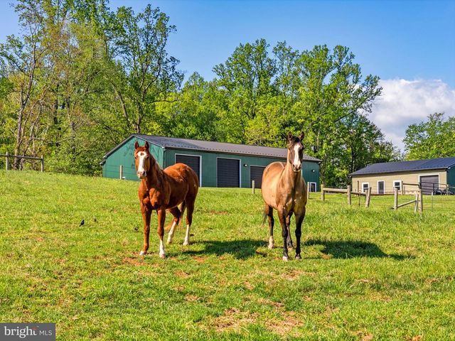 11194 HOMELAND RD, Rixeyville, VA 22737