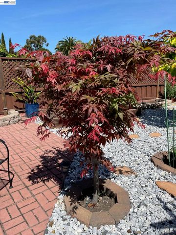 1291 Sussex Way, Hayward, CA 94544