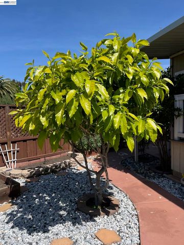 1291 Sussex Way, Hayward, CA 94544