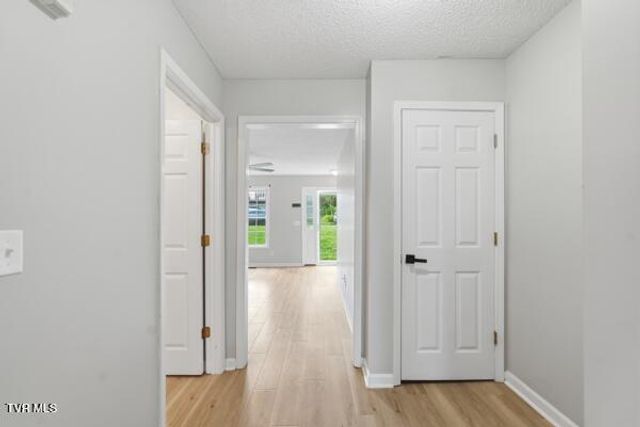 52 Tulip Grove Circle 2, Bristol, TN 37620