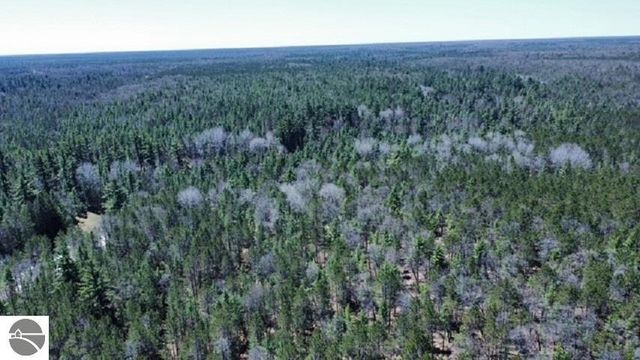 4599 Shady Lane, Oscoda, MI 48750