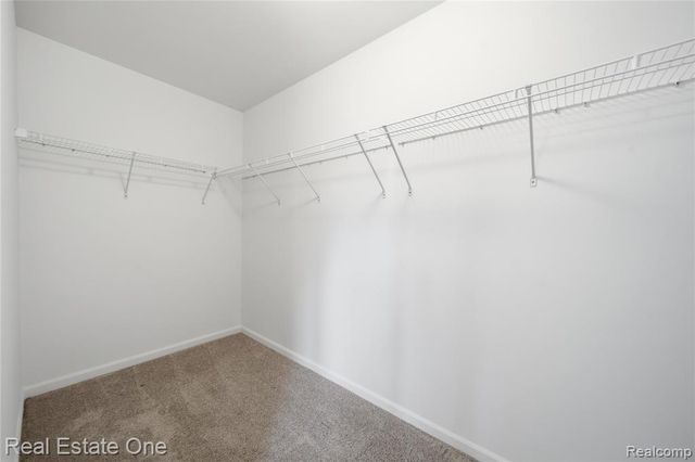 224 Sean Street, Brighton, MI 48116