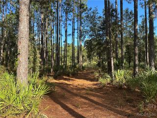 3960 N Buckhorn Drive, Beverly Hills, FL 34465