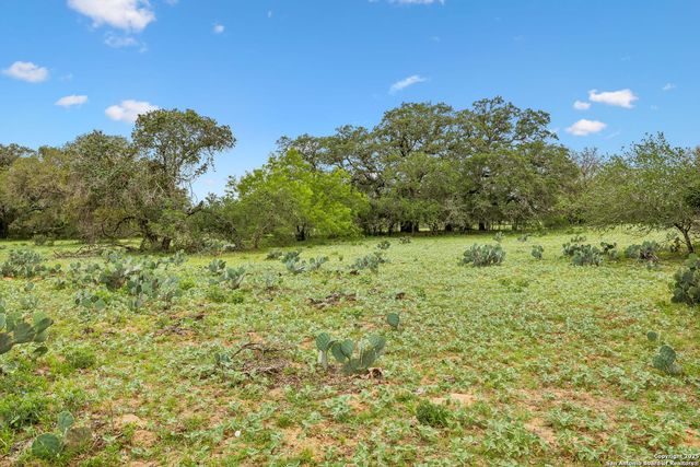 783 Fm 1333, Poteet, TX 78065
