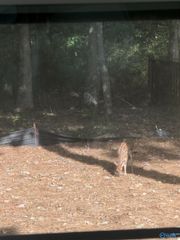 29 Bluff Creek, Huntsville, AL 35803