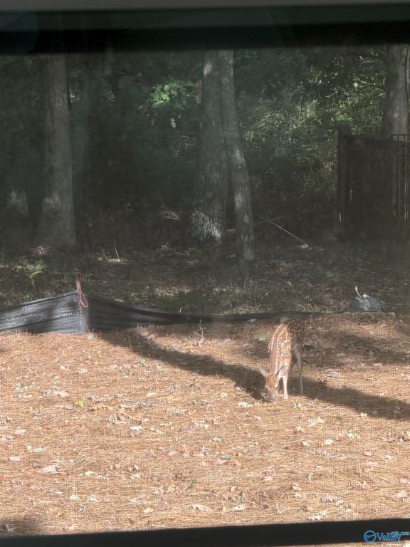 29 Bluff Creek, Huntsville, AL 35803