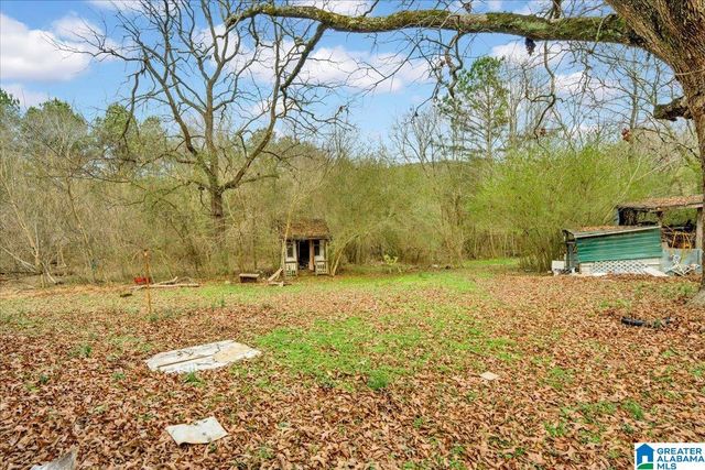 454 HUTCHENS DRIVE, Oneonta, AL 35121
