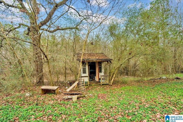 454 HUTCHENS DRIVE, Oneonta, AL 35121