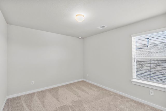 64 Shining Point Drive, Waller, TX 77484