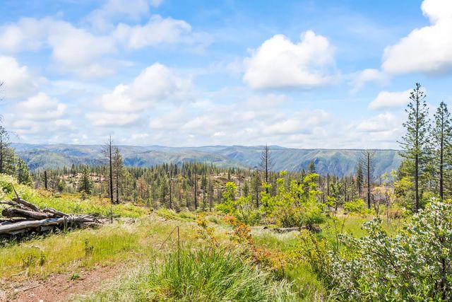 30155 Turkey Hill Rd, Foresthill, CA 95631