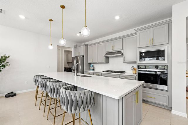 5196 FOOTHILLS PRESERVE LOOP, Mount Dora, FL 32757