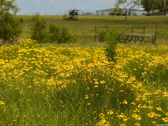 13841 FM 775, La Vernia, TX 78121
