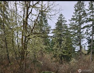 17109 18th ave ct S, Spanaway, WA 98387