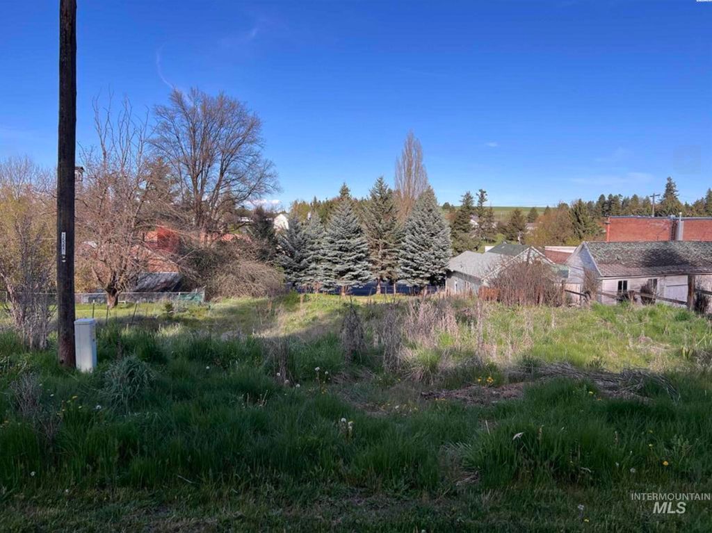 111 S High Street, Uniontown, WA 99179 photo 3